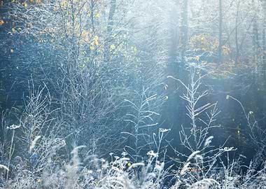 Landscape With The Frozen