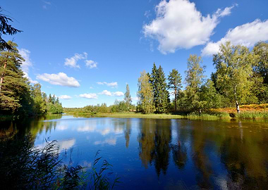 River And Forest Scene In