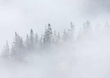 Stunning Backgrounds