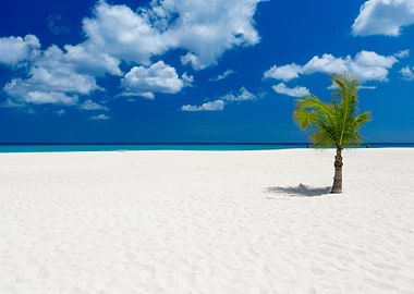 Stunning Backgrounds