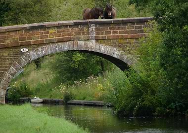 Watching the World Go By