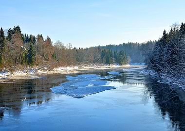 Gauja River Valley Winter
