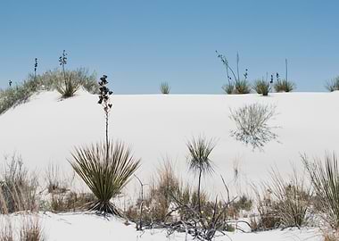 White Sands New Mexico