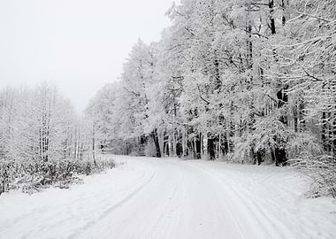 Winter Scene Road And Fore