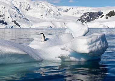 Stunning Backgrounds