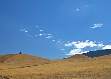 Stunning Backgrounds