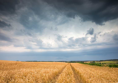 Stormy Sky Over Field