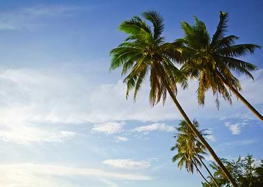 Landscape Photo Of Island