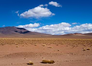 Stunning Backgrounds