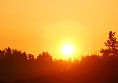 Early Orange Clear Sunrise