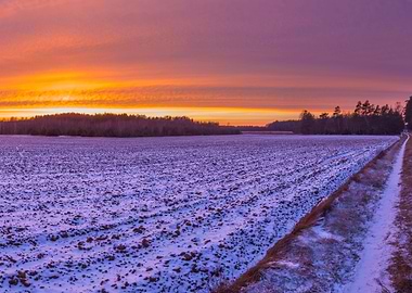 Beautiful Winter Field Lan