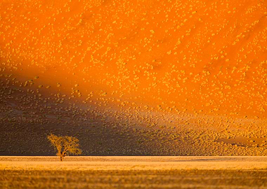 Stunning Backgrounds