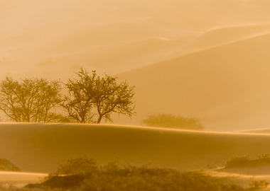 Stunning Backgrounds