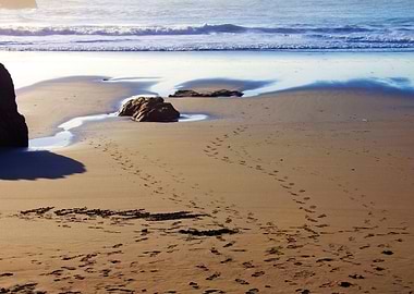 Stunning Backgrounds