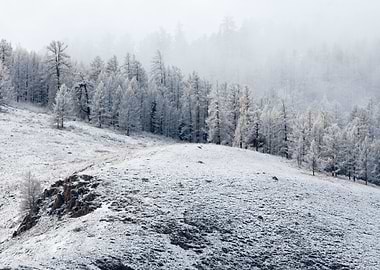 Stunning Backgrounds