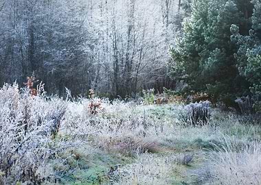 Landscape With The Frozen