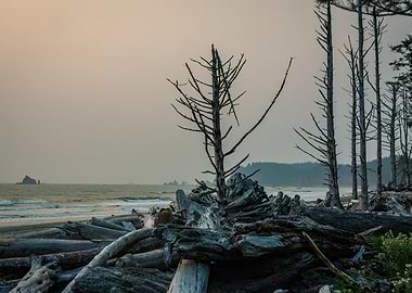 Rialto Beach in Smoke