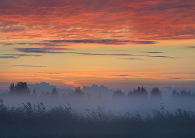 Colorful Sunrise At The Fi