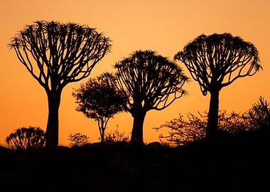 Stunning Backgrounds