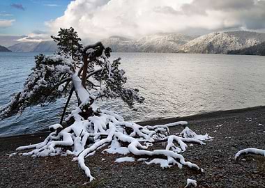 Stunning Backgrounds