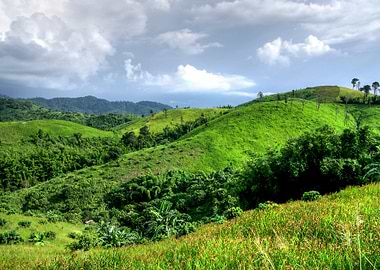 Green Mountain On Cloud Na