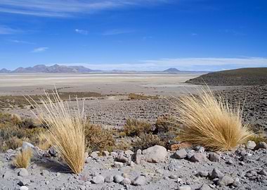 Stunning Backgrounds