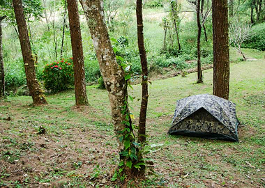 Camping Tent In Forest Of