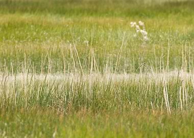 Stunning Backgrounds