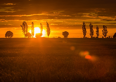 Landscape With Orange Suns
