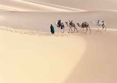 Stunning Backgrounds