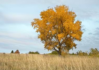 Stunning Backgrounds