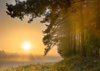 Foggy Morning On Polish Me