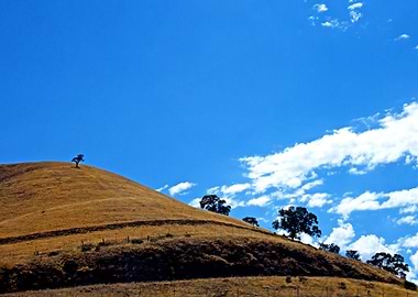 Stunning Backgrounds