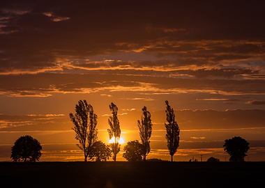 Landscape With Orange Suns