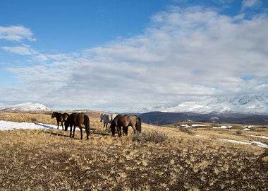 Stunning Backgrounds