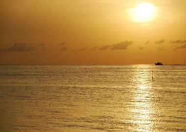 Beautiful Orange Sunset On