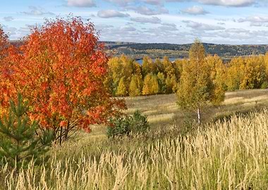 Stunning Backgrounds
