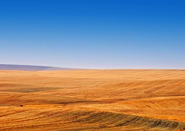 Stunning Backgrounds