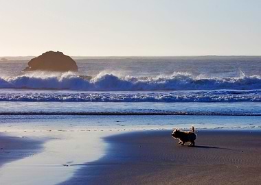 Stunning Backgrounds