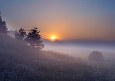 Foggy Morning On Polish Me