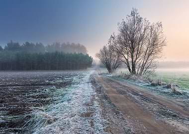 Beautiful Morning With Fro