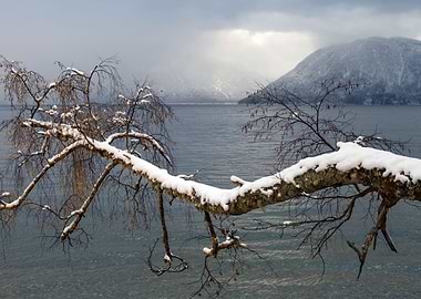 Stunning Backgrounds