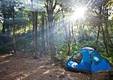 Camping Tents In Forest