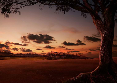 Sunset Landscape And With