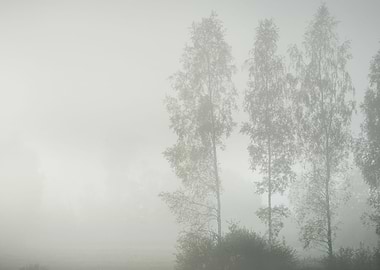 Strong Morning Fog Above T