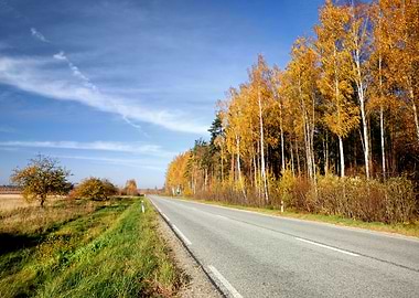 Country Road In Fall Seaso