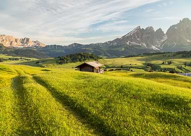 Lankoffel Mountain Range V
