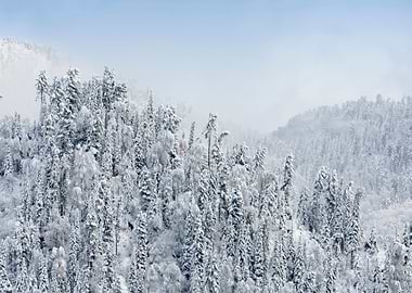 Stunning Backgrounds