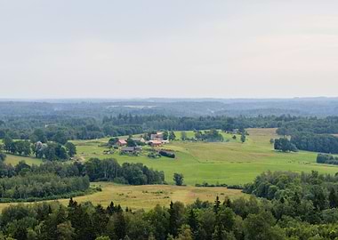 Forest Hills Covered With