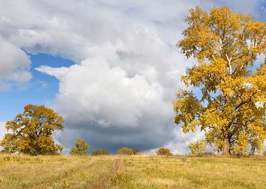 Stunning Backgrounds